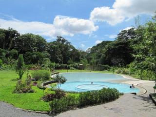 IMG_1376+1.jpg
