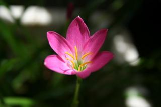 IMG_4593+1.jpg