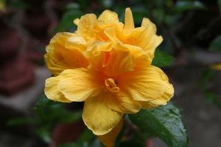IMG_4682+1.jpg