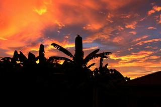 IMG_4688+1.jpg