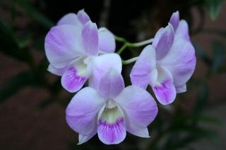 IMG_4712+1.jpg