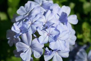 IMG_5747+1.jpg