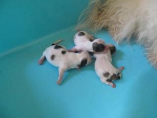 IMG_1793+1.jpg