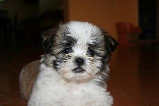 IMG_4249+1.jpg