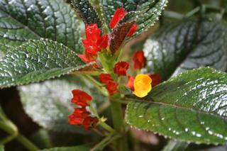 IMG_6555+1.jpg